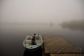 Foggy Morning